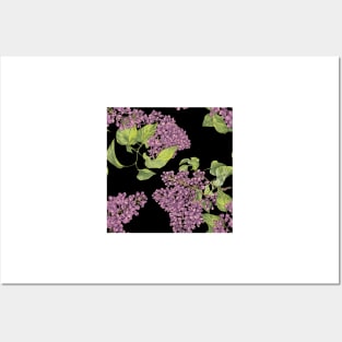 Lilac flower on black Posters and Art